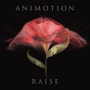 Album Animotion - Raise Your Expectations