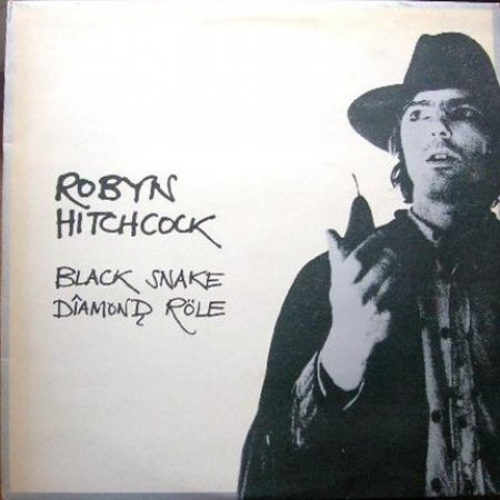 Album Robyn Hitchcock - Black Snake Diamond Röle