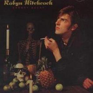 Album Robyn Hitchcock - Groovy Decay