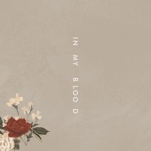 Album Shawn Mendes - In My Blood