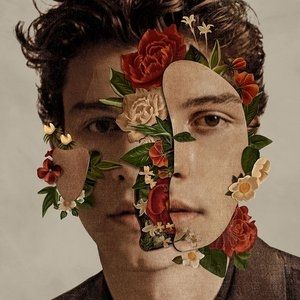 Shawn Mendes : Shawn Mendes