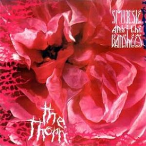 Album The Thorn - Siouxsie and the Banshees