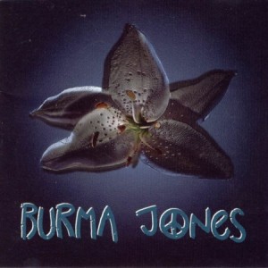 Album Burma Jones - Slepí ptáci