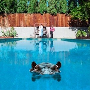Album Sparks - Hippopotamus