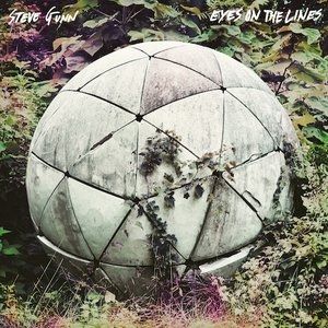 Album Steve Gunn - Eyes on the Lines