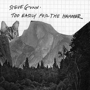 Album Steve Gunn - Too Early for the Hammer