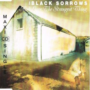 Album The Black Sorrows - Ain