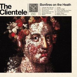 Album The Clientele - Bonfires on the Heath