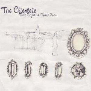 Album The Clientele - That Night A Forest Grew