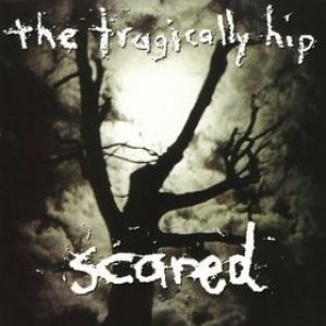 Album The Tragically Hip - Scared