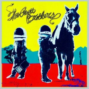 Album The Avett Brothers - True Sadness