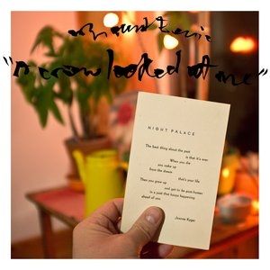 Album Mount Eerie - A Crow Looked at Me