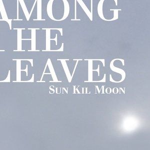 Album Sun Kil Moon - Among the Leaves