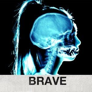 Album Sumo Cyco - Brave