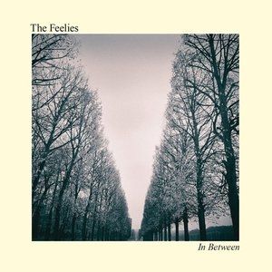 Album The Feelies - In Between