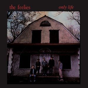 Album The Feelies - Only Life