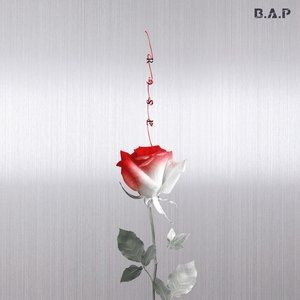 Album B.A.P - Rose