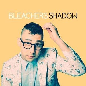 Bleachers Shadow, 2014