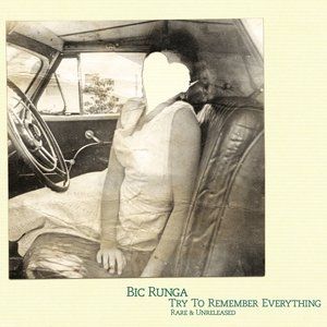 Album Bic Runga - Try to Remember Everything