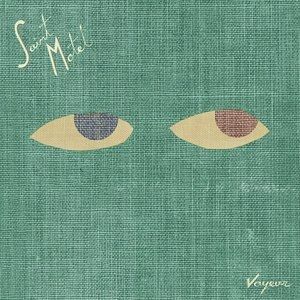 Album Saint Motel - Voyeur