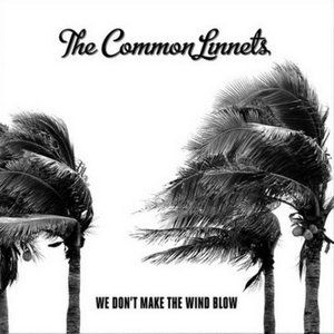 Album The Common Linnets - We Don