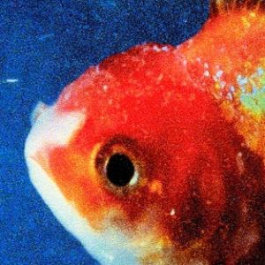 Album Vince Staples - Big Fish Theory