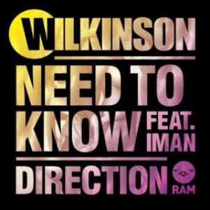 Album Wilkinson - Need to Know / Direction