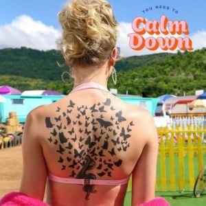 Album Taylor Swift - You Need to Calm Down