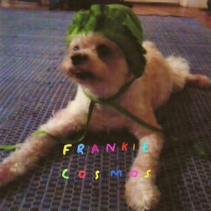 Album Frankie Cosmos - Zentropy