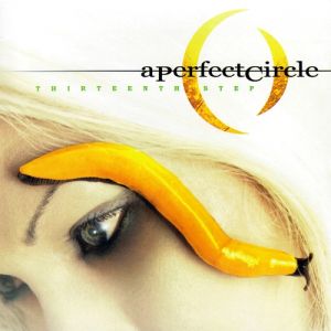A Perfect Circle Thirteenth Step, 2003