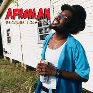 Album Because I Got High - Afroman