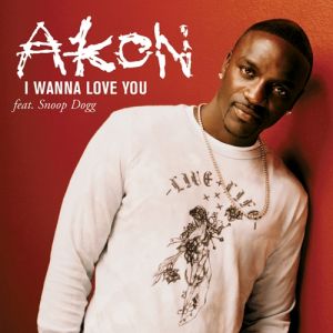 Album Akon - I Wanna Love You