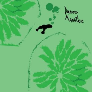 Album Animal Collective - Danse Manatee