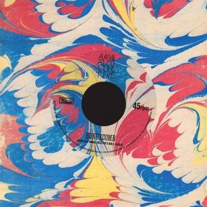Album Animal Collective - Honeycomb