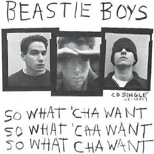 So What'cha Want - album