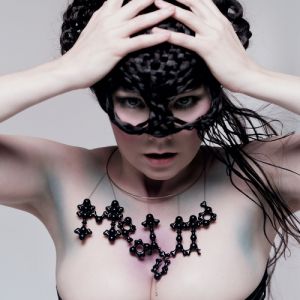 Album Björk - Medúlla