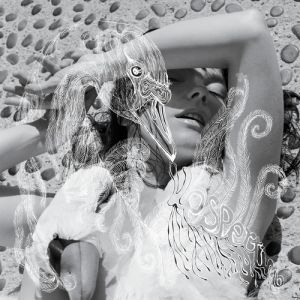 Album Björk - Vespertine
