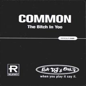 Album Common - The Bitch in Yoo