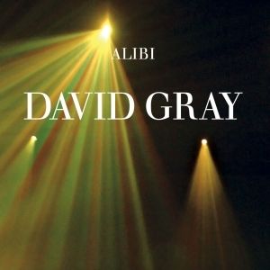 Album David Gray - Alibi