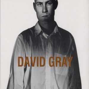 Album David Gray - Birds Without Wings
