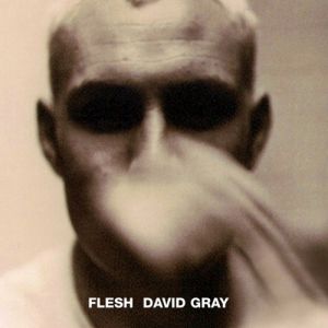 David Gray : Flesh