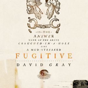 Album Fugitive - David Gray