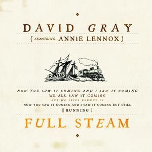 David Gray : Full Steam