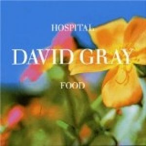 Album David Gray - Hospital Food