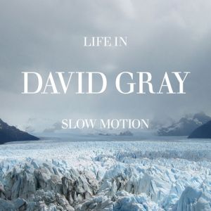 David Gray Life in Slow Motion, 2005