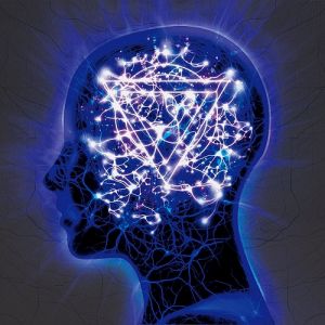 Album Enter Shikari - The Mindsweep