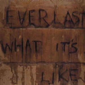 Album Everlast - What It