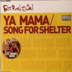 Fatboy Slim Song for Shelter, 2001