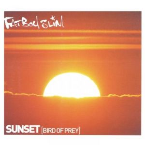 Fatboy Slim Sunset (Bird of Prey), 2000