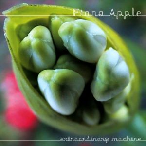 Album Fiona Apple - Extraordinary Machine